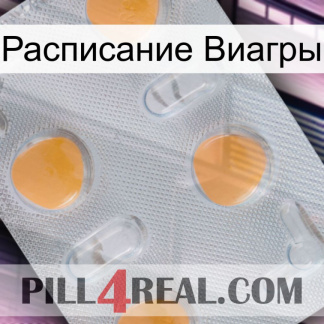 Расписание Виагры 24